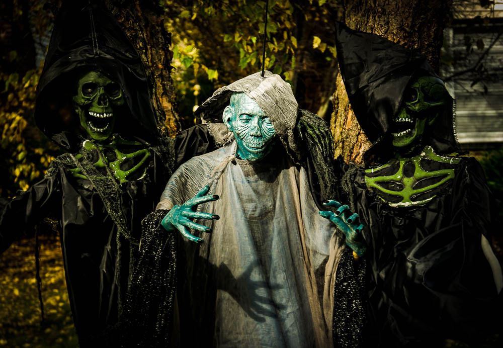 LUMIX G VARIO 35-100/F4.0-5.6 sample photo. Night of the living dead (of ) photography