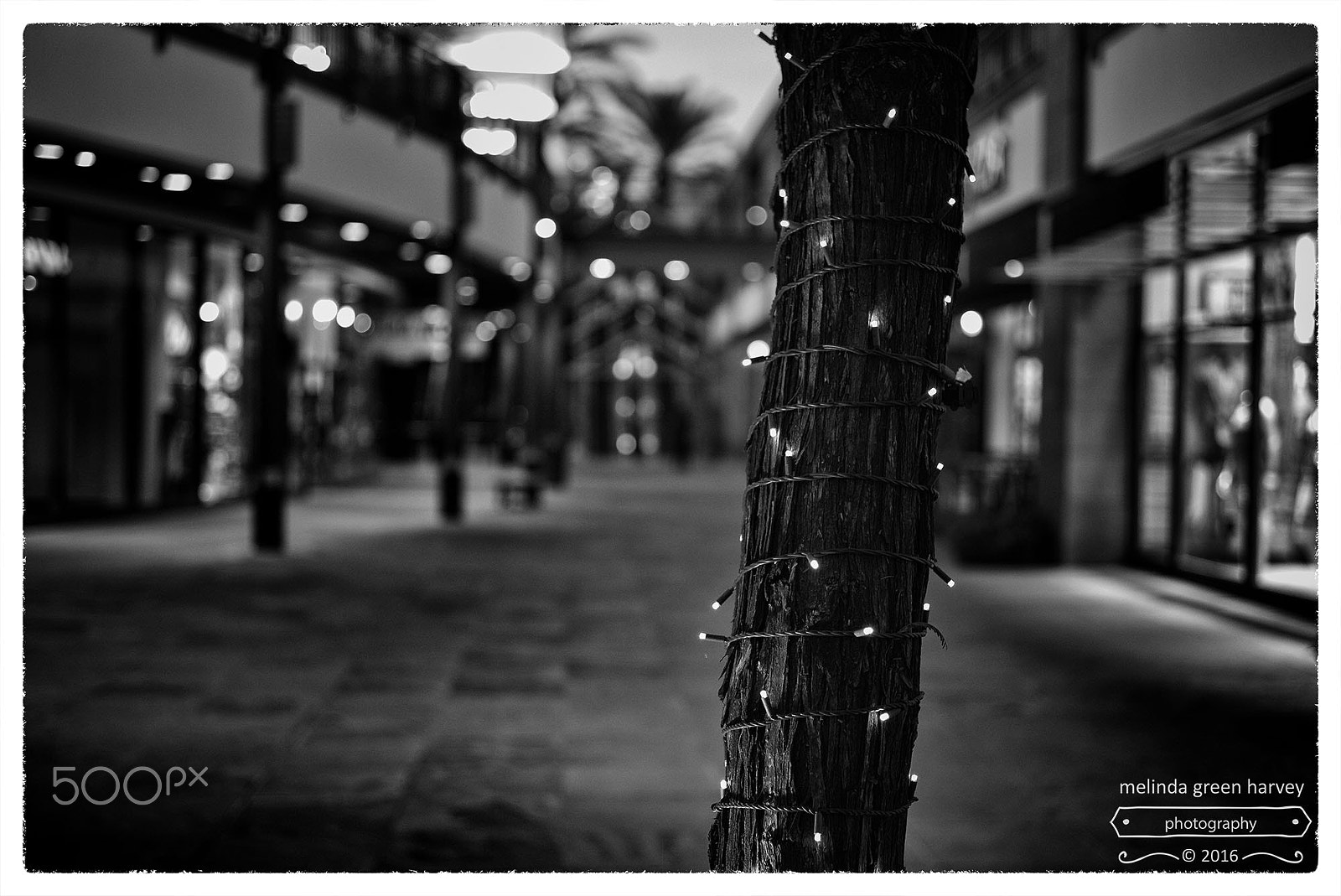 Leica Summarit-M 50mm F2.4 sample photo. Darkest part of twilight photography