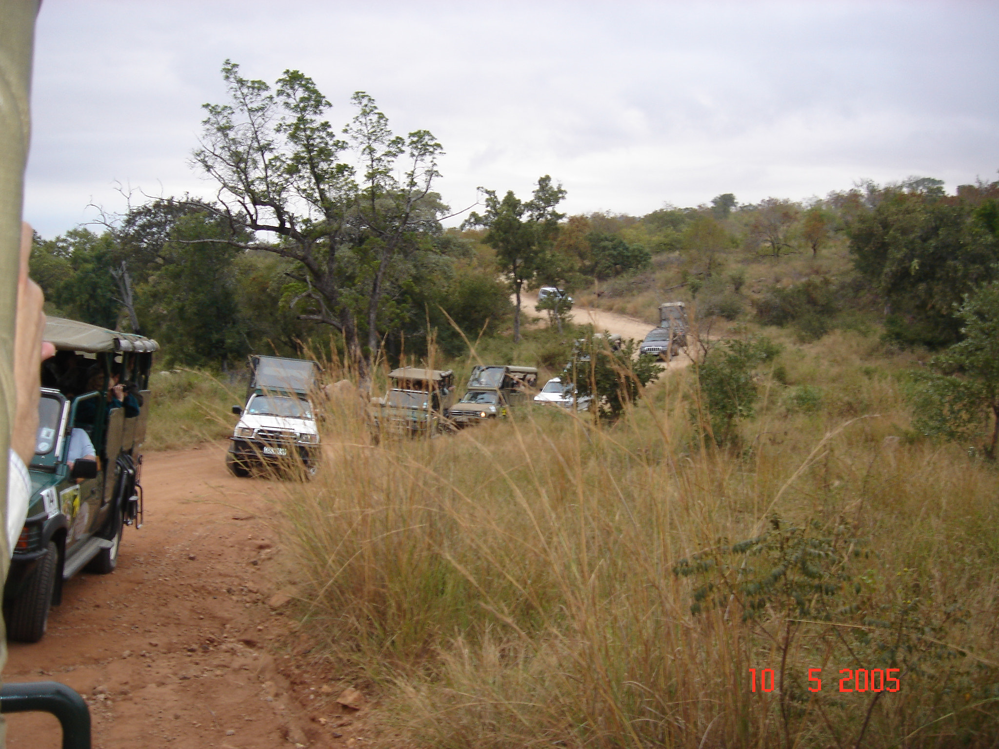 Sony DSC-T3 sample photo. South africa photography