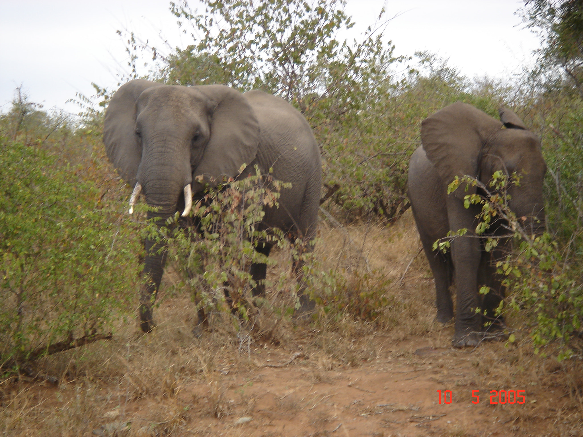Sony DSC-T3 sample photo. South africa photography