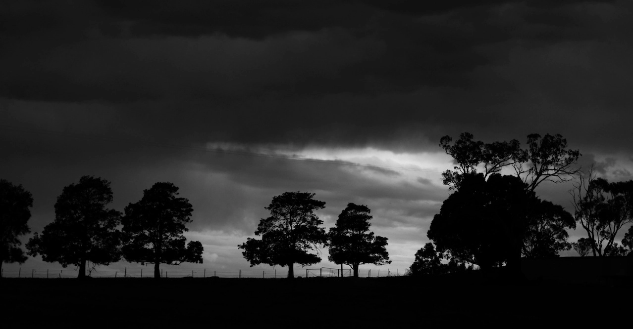 Panasonic Lumix DMC-GH4 + Olympus M.Zuiko Digital 45mm F1.8 sample photo. Rural victoria / australia in b/w photography