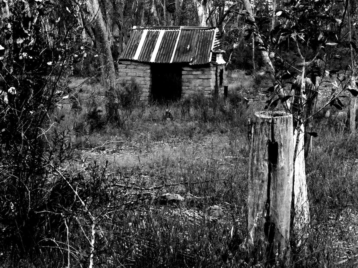 Panasonic Lumix DMC-GH4 sample photo. Rural victoria / australia in b/w photography