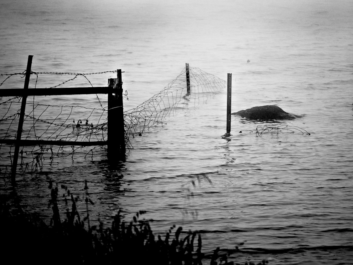Panasonic Lumix DMC-GH4 + LEICA DG 100-400/F4.0-6.3 sample photo. Rural victoria / australia in b/w photography