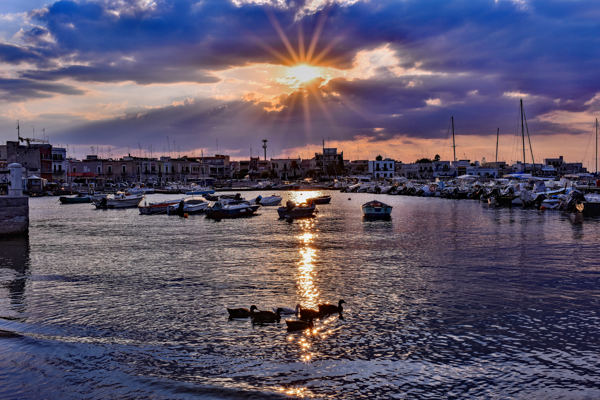 Nikon AF-S Nikkor 35mm F1.8G ED sample photo. End of the day for ducks photography