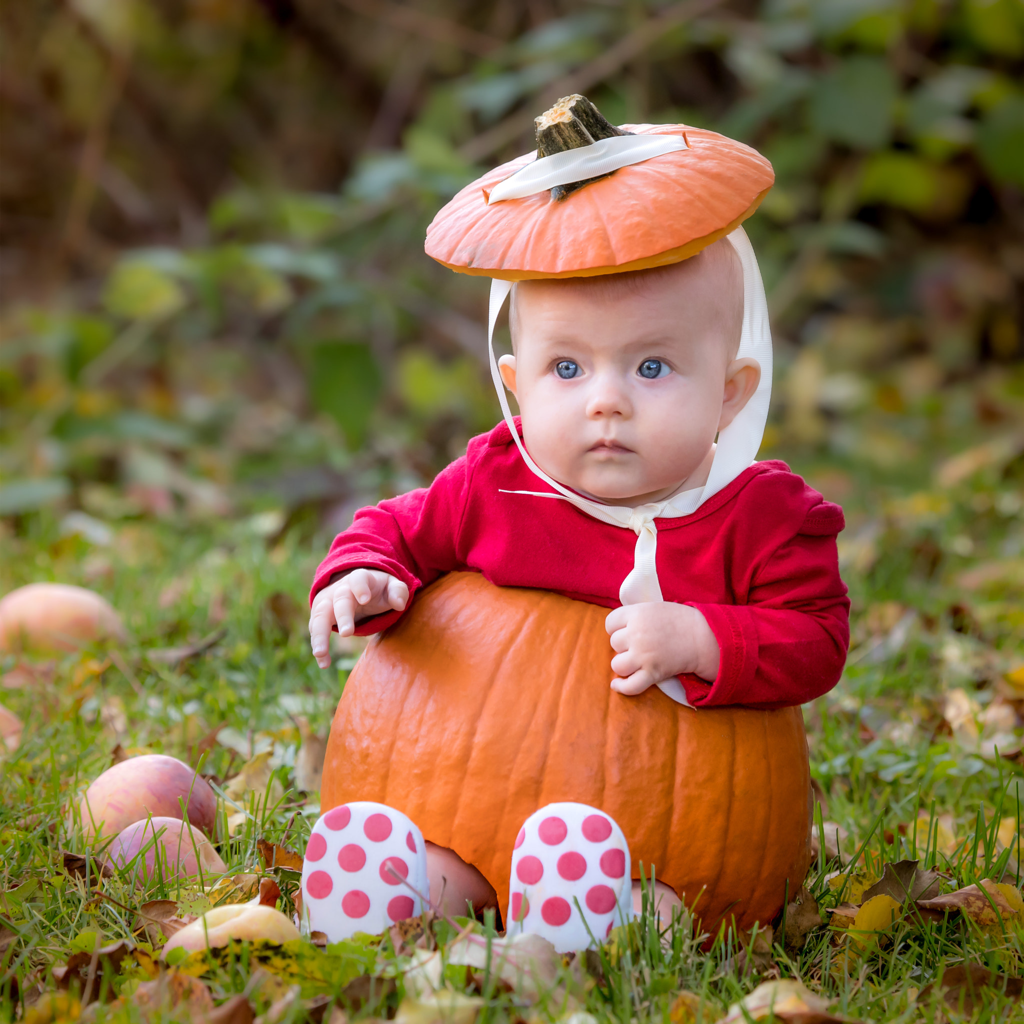 Canon EF 100-400mm F4.5-5.6L IS USM sample photo. Happy halloween! photography