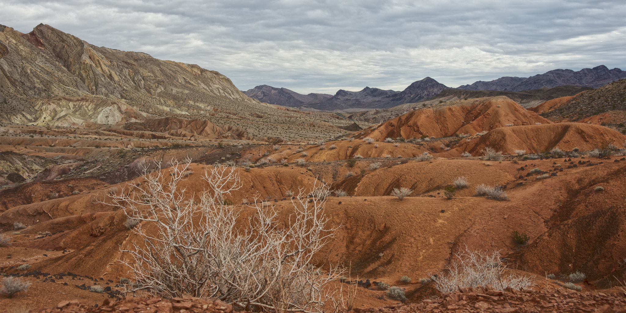 AF Zoom-Nikkor 28-105mm f/3.5-4.5D IF sample photo. Barren land photography