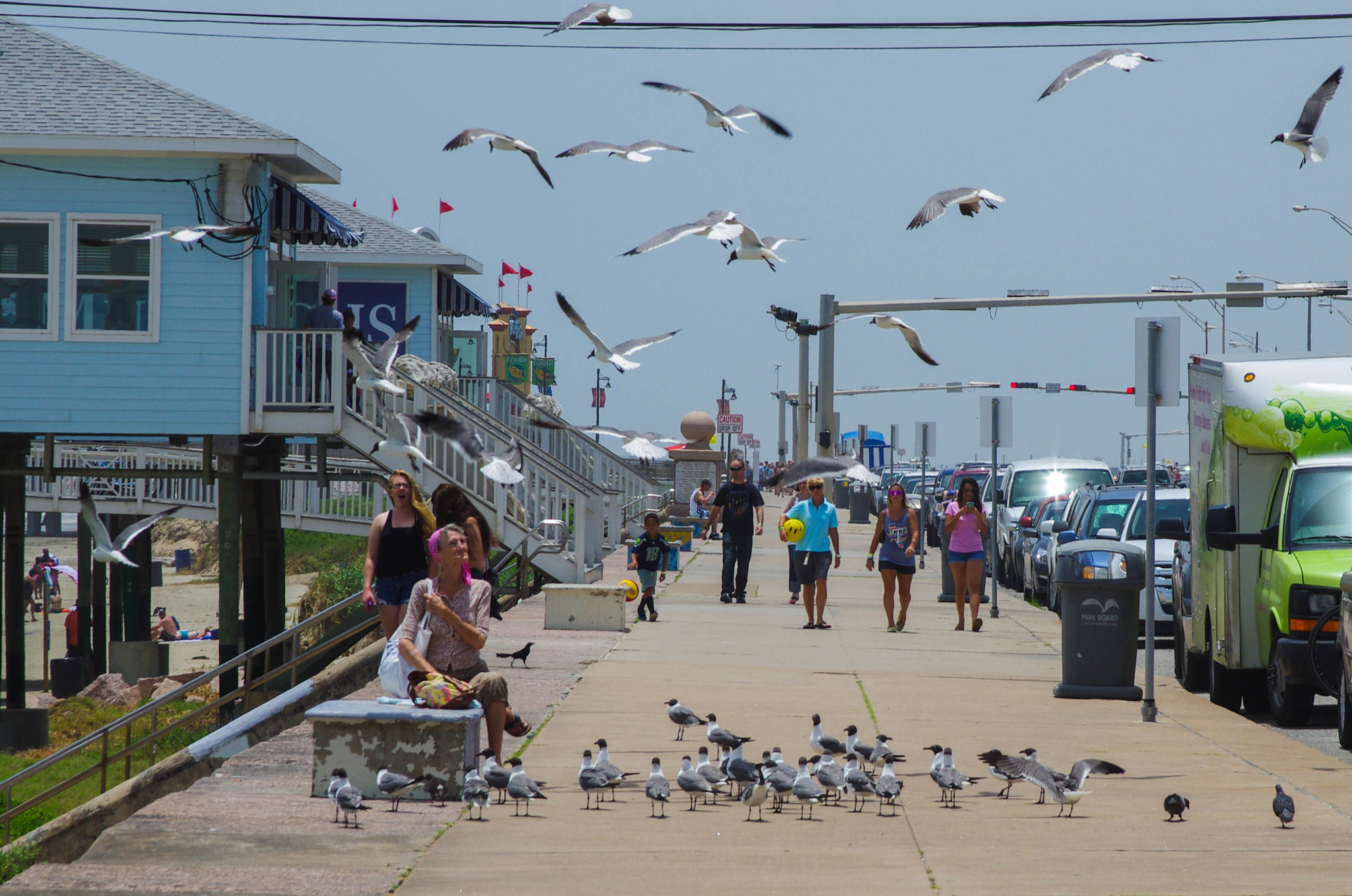 Pentax K-5 + smc PENTAX-FA 24-90mm F3.5-4.5 AL[IF] sample photo. Galveston bird lady photography