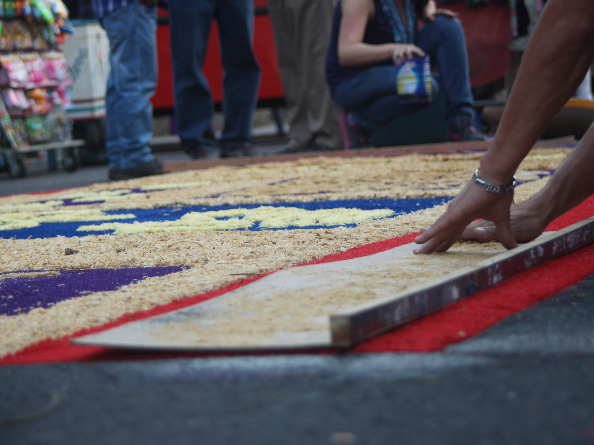 Canon EF 35-135mm f/4-5.6 USM sample photo. Sawdust carpet photography