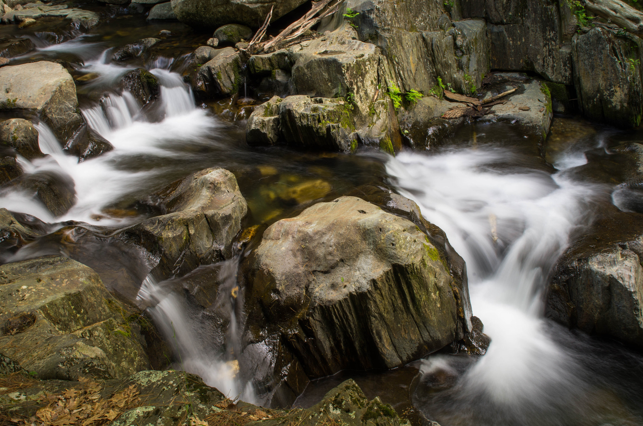 Pentax K-5 sample photo. Hyde3808-1-58.jpg photography