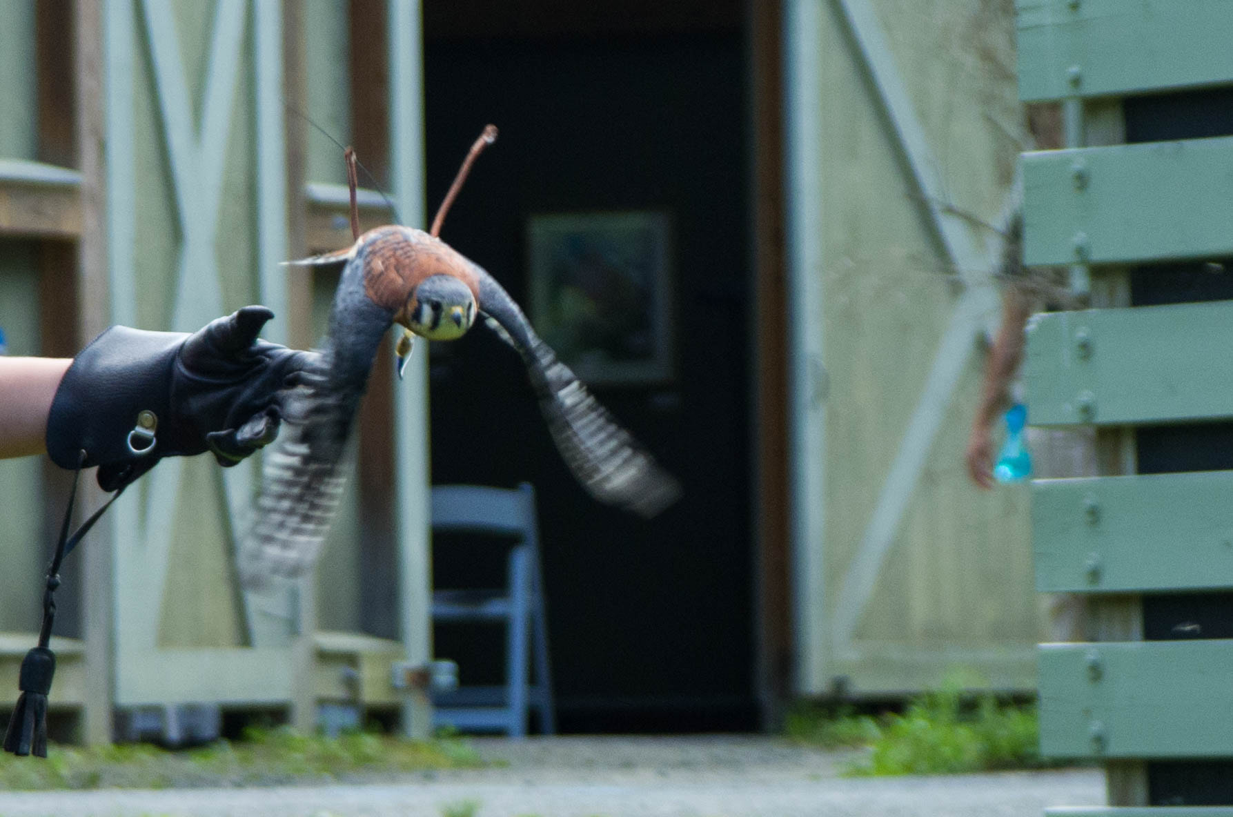 Pentax K-5 sample photo. Hyde3808-1-71.jpg photography