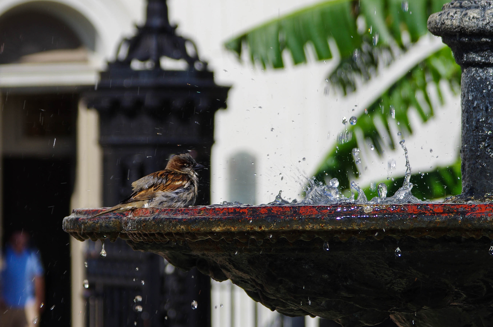 smc PENTAX-FA 24-90mm F3.5-4.5 AL[IF] sample photo. Hyde3434-2.jpg photography