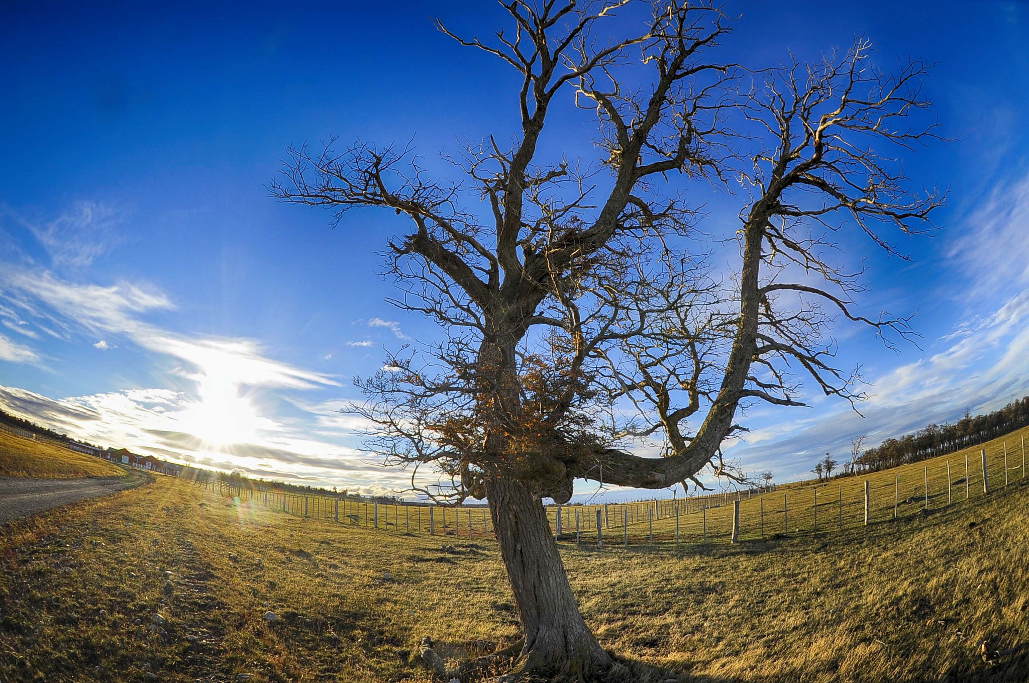 Nikon AF DX Fisheye-Nikkor 10.5mm F2.8G ED sample photo. Ea cabo peas o photography
