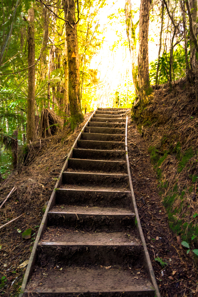 Canon EOS 700D (EOS Rebel T5i / EOS Kiss X7i) sample photo. Hunua falls. october 2016 photography
