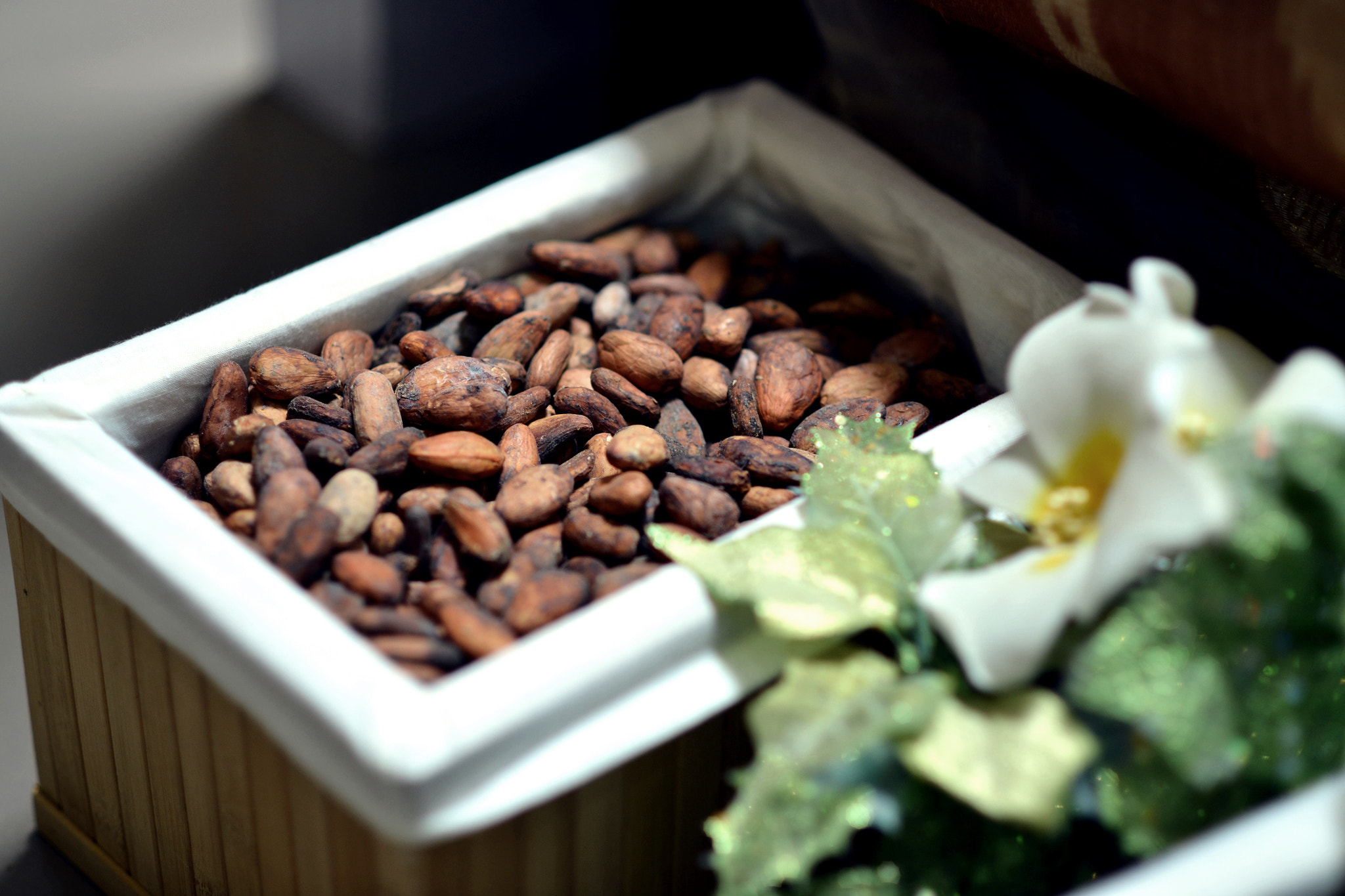 Nikon D600 + AF Nikkor 85mm f/1.8 sample photo. Chocolate festival photography