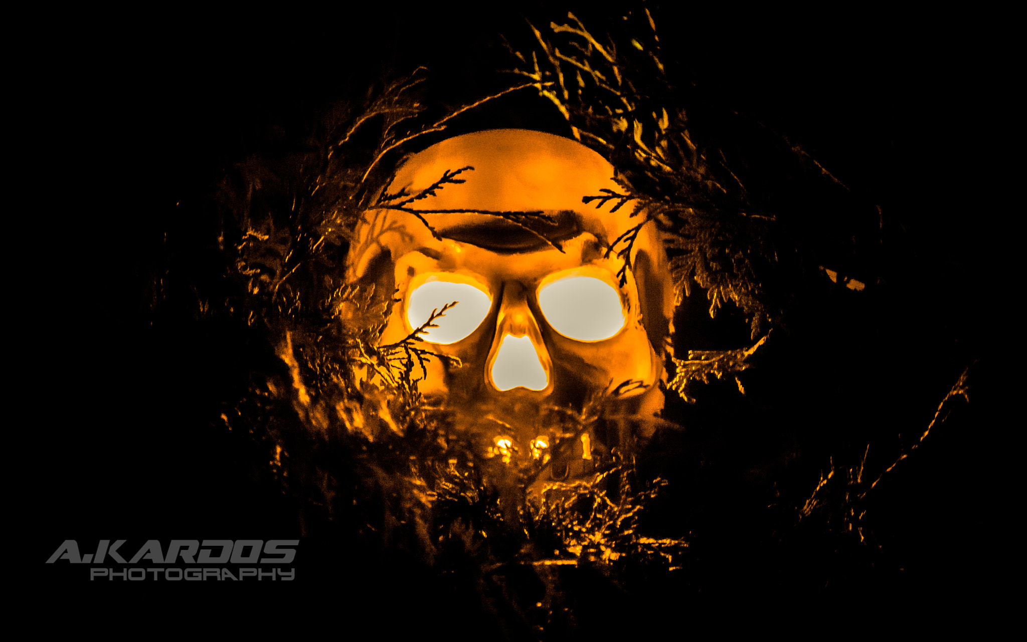Canon EOS 700D (EOS Rebel T5i / EOS Kiss X7i) + Canon EF 24-105mm F4L IS USM sample photo. Happy halloween !!! photography