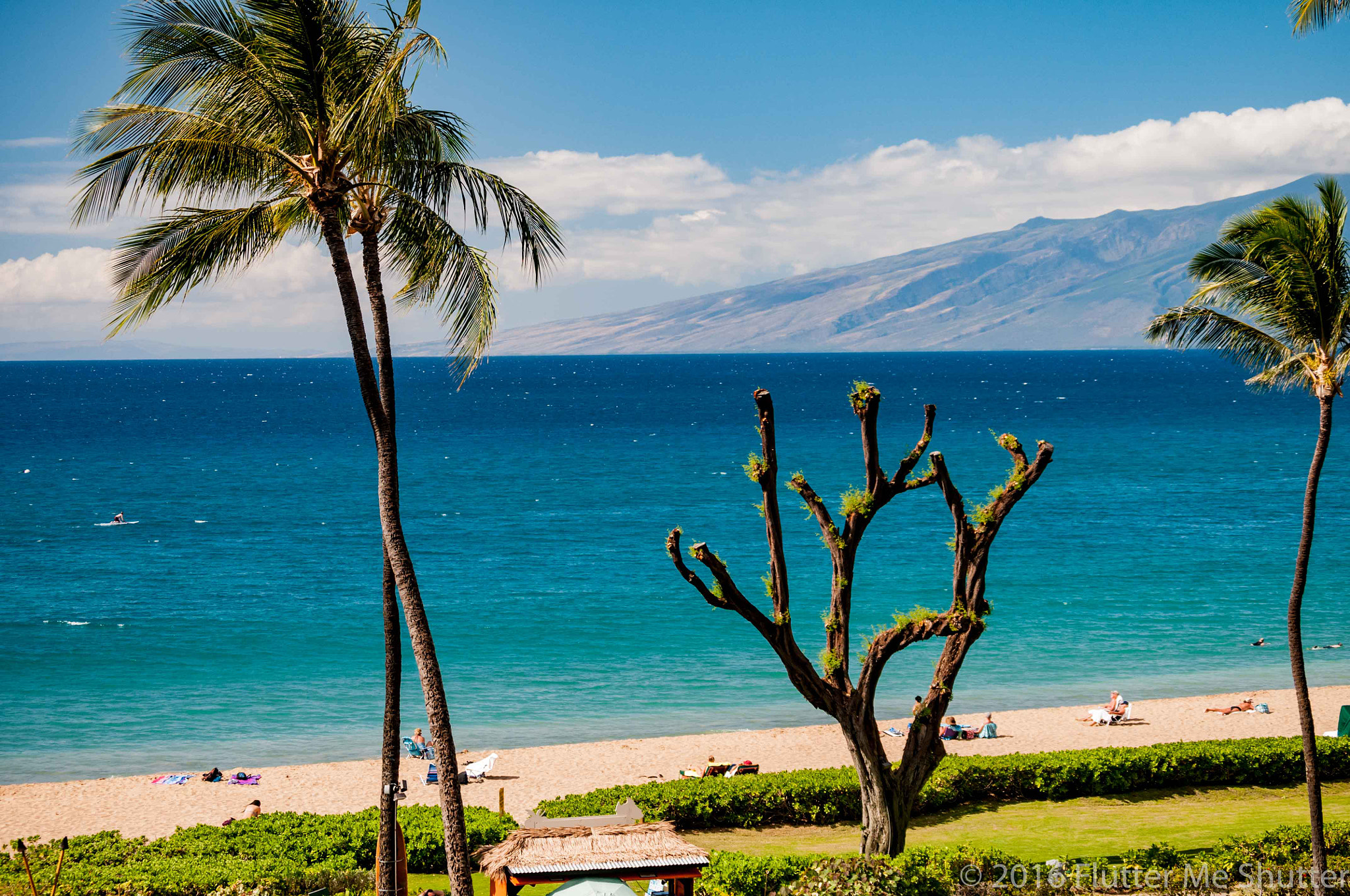Nikon D300 sample photo. Kaanapali photography