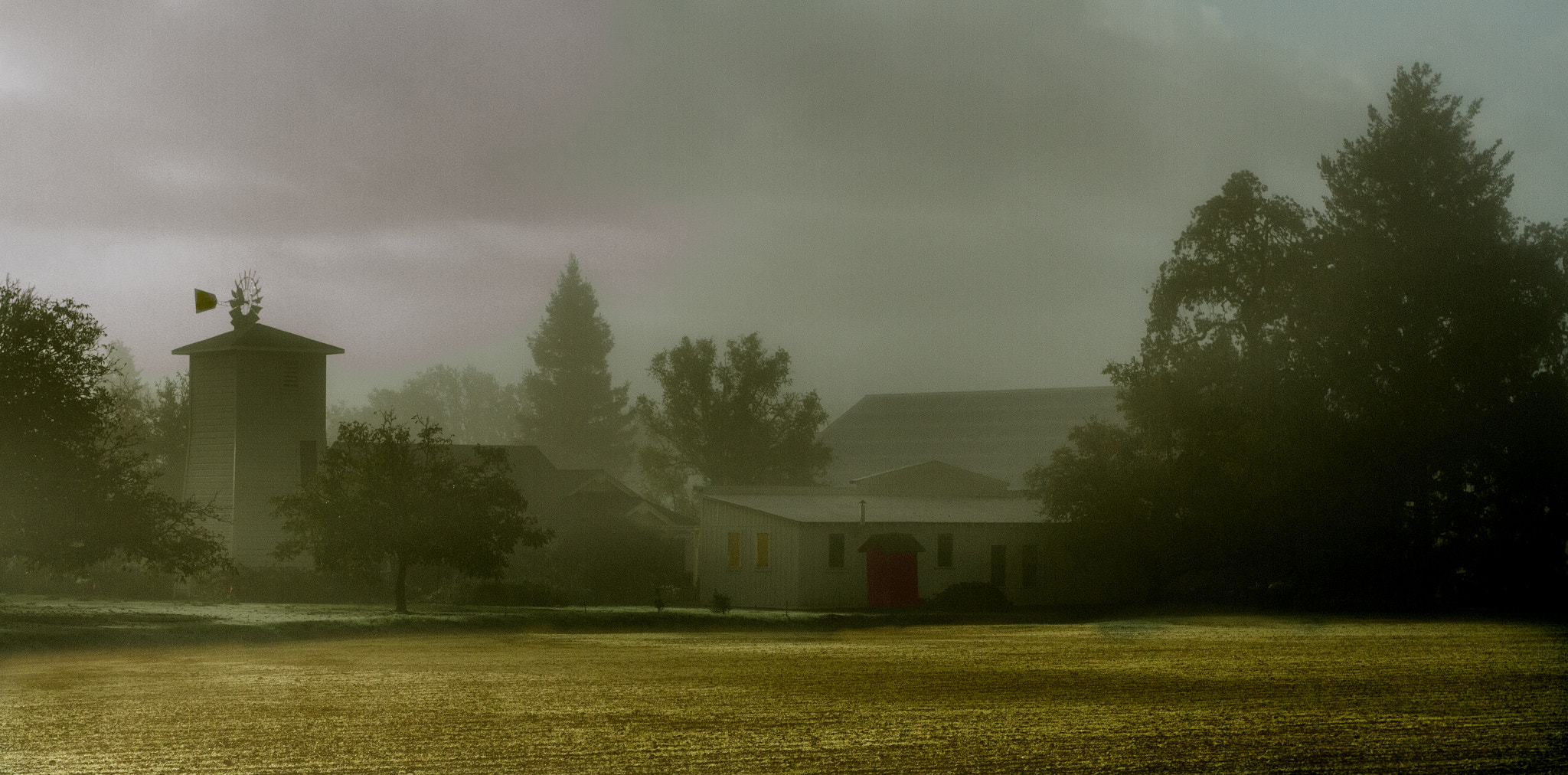 Sigma 50mm F1.4 EX DG HSM sample photo. Wine country in the fog photography