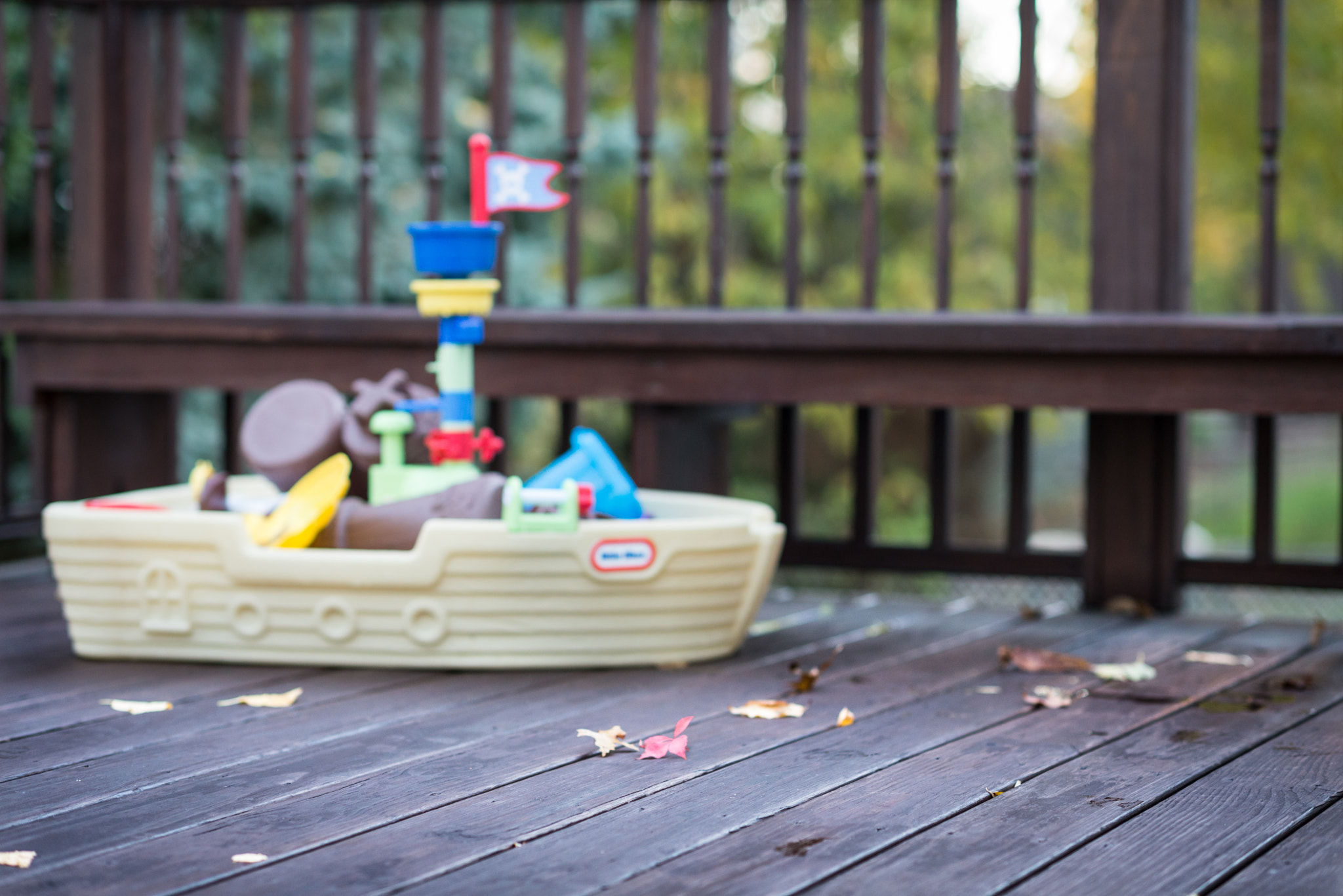 Nikon D610 + Nikon AF-S Nikkor 85mm F1.4G sample photo. Remnants of summer photography