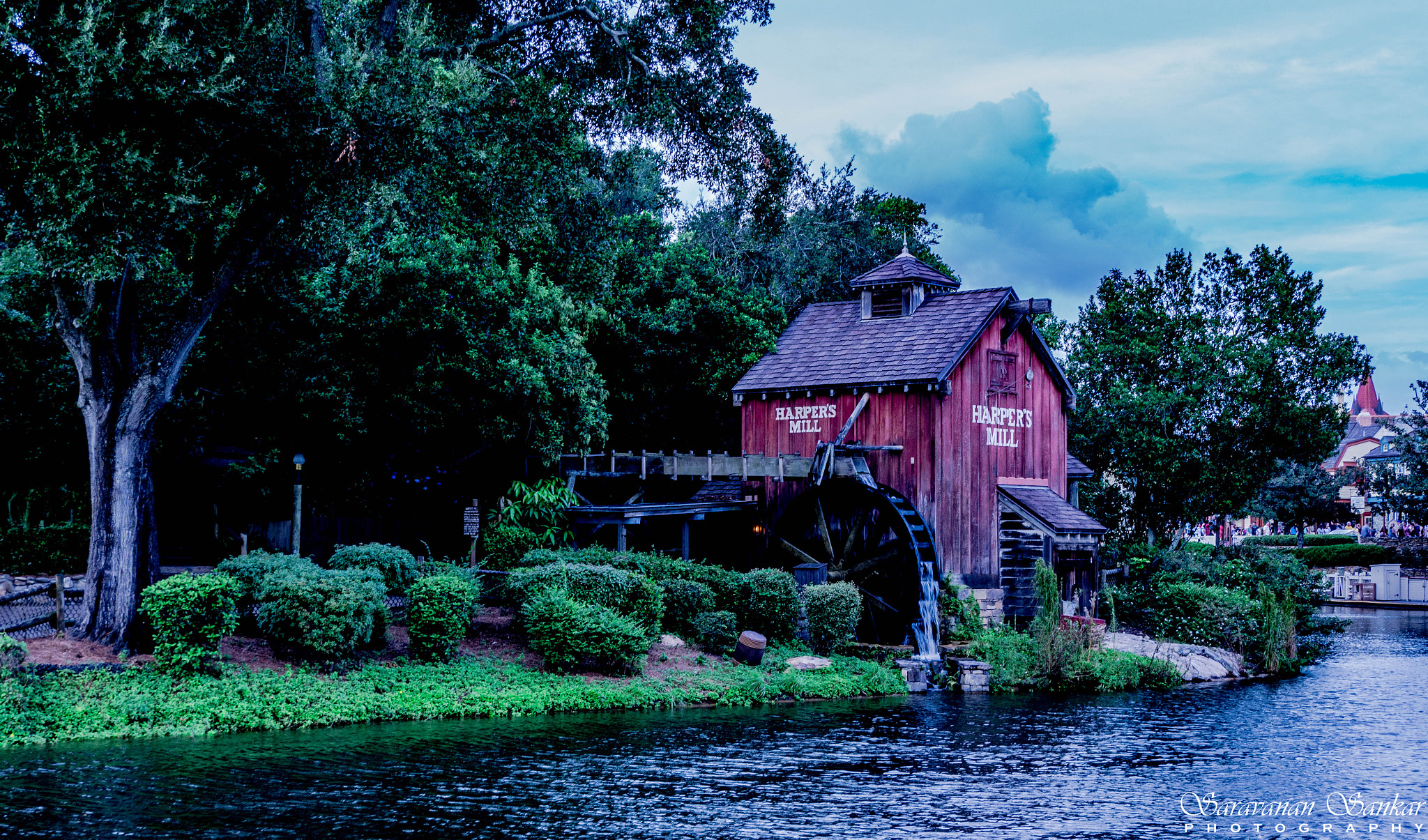 Sony SLT-A65 (SLT-A65V) sample photo. Harper's mill photography