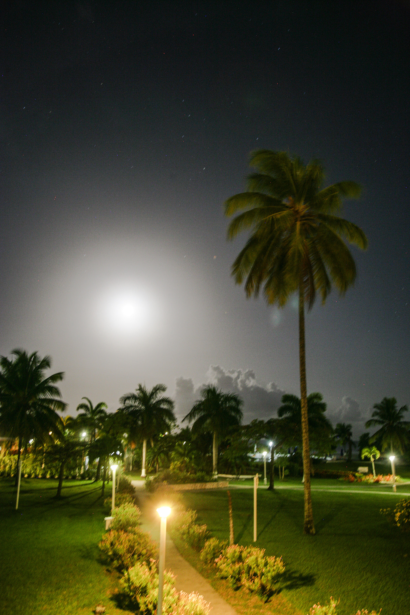 Canon EOS-1Ds Mark II sample photo. Jolly beach antigua 2 a.m. photography