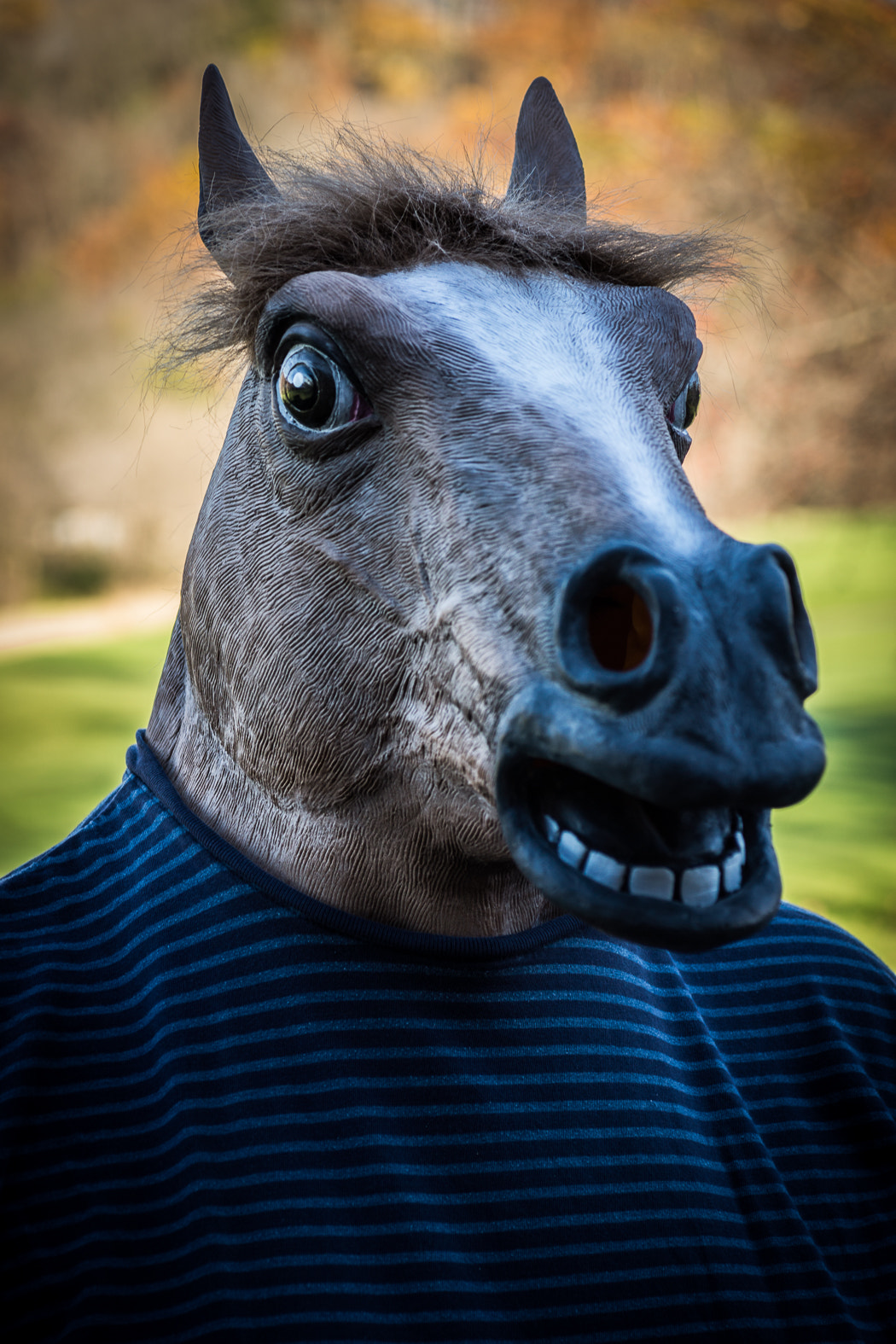 Sony SLT-A65 (SLT-A65V) sample photo. Happy halloween! photography