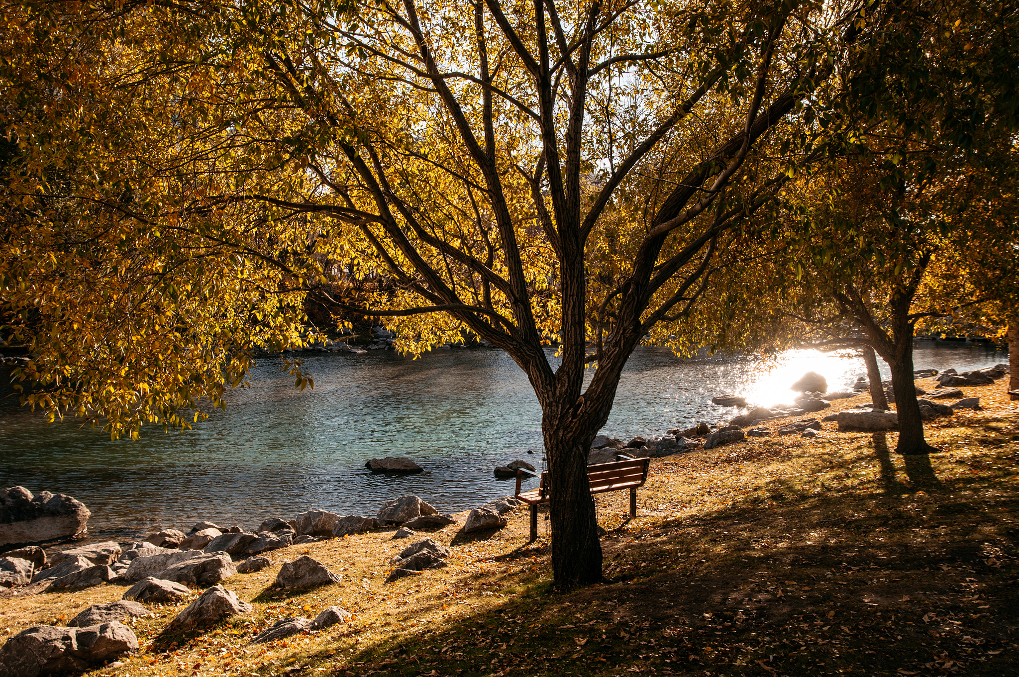 Sony SLT-A57 sample photo. Golden space photography