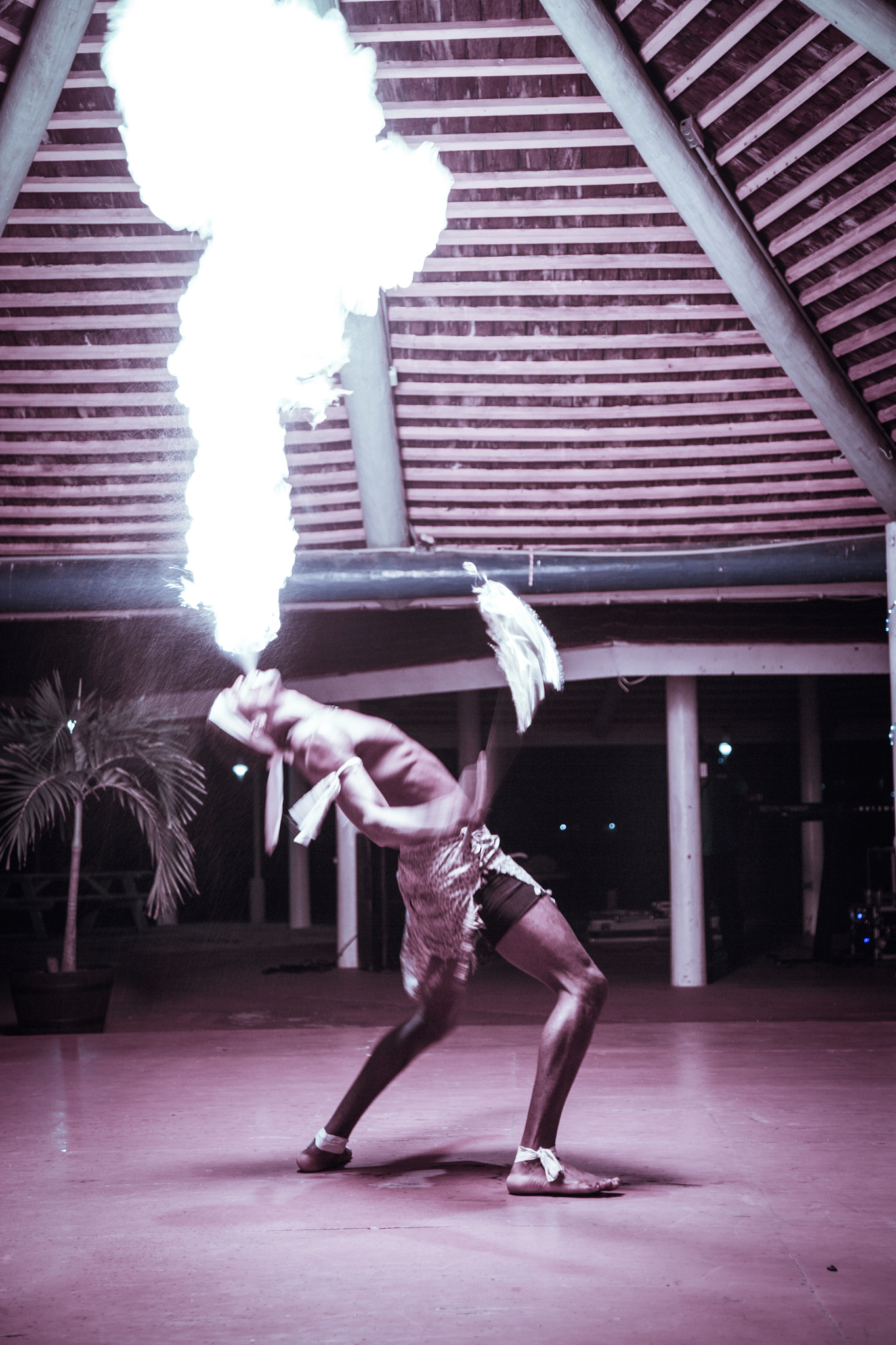 Canon EOS-1Ds Mark II sample photo. Show in antigua photography