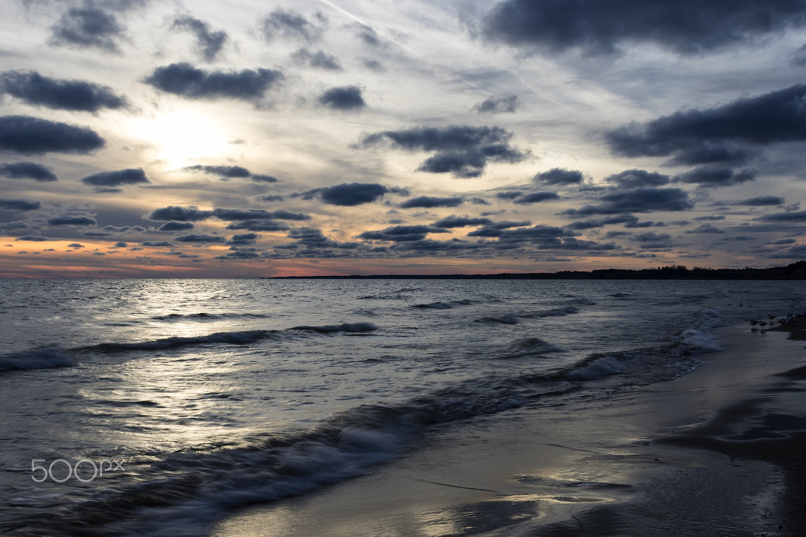Canon EF 24mm f/1.4L sample photo. Fluff photography