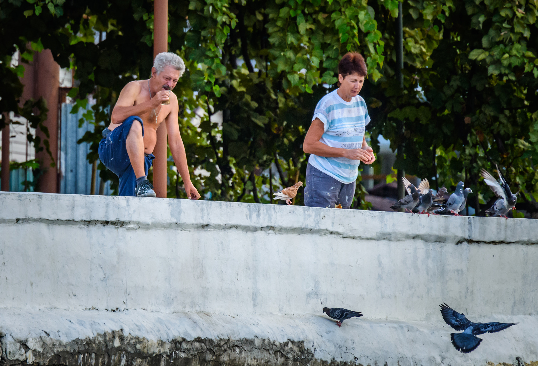 Nikon Nikkor AF-S 300mm F4E PF ED VR sample photo. Завтрак с голубями photography