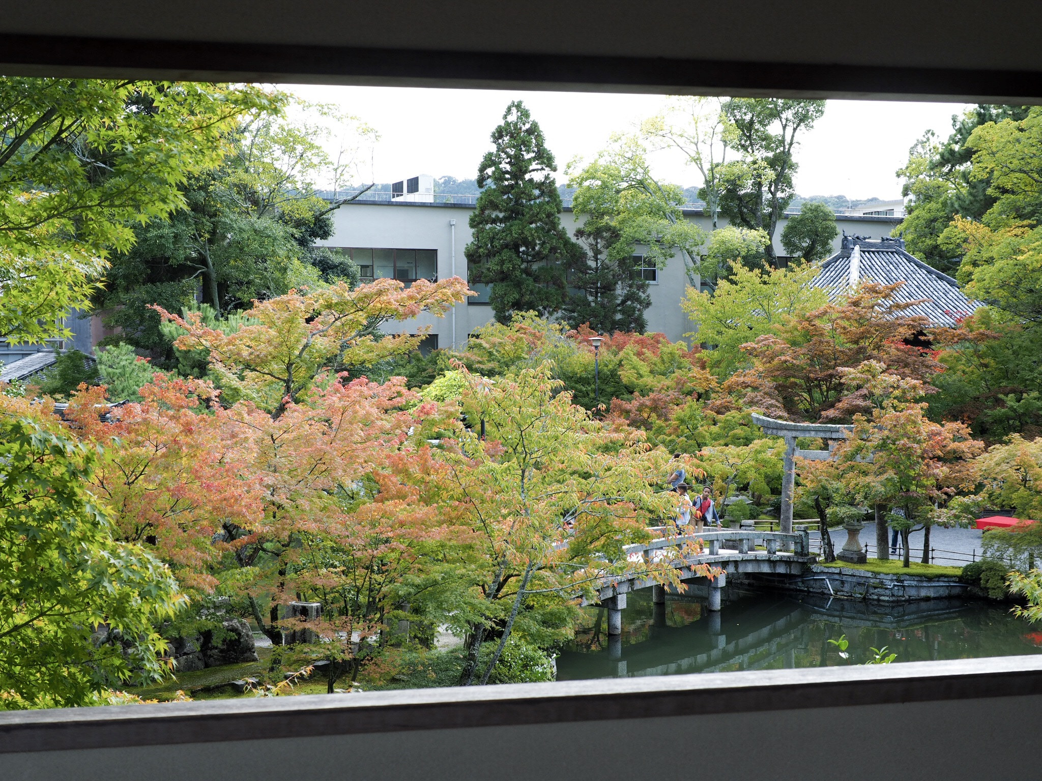 Panasonic Leica DG Summilux 25mm F1.4 II ASPH sample photo