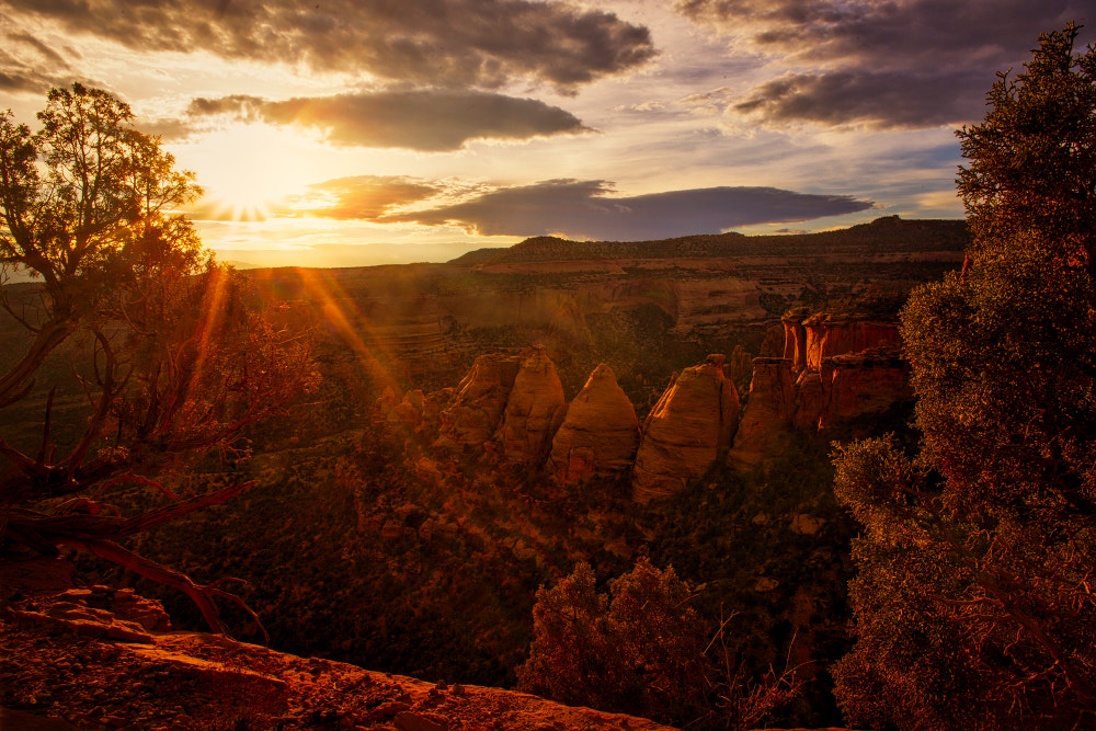 Canon EF 24mm F2.8 IS USM sample photo. Enchanted moments photography