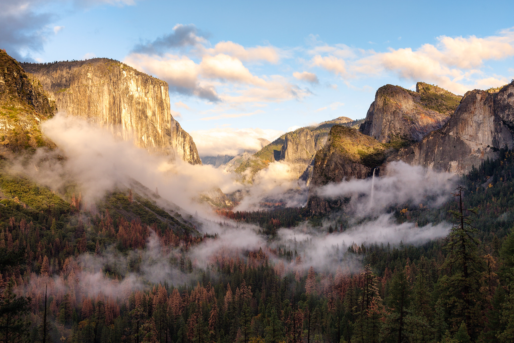 Canon EF 16-35mm F4L IS USM sample photo. Tunnel view | yosemite national park photography
