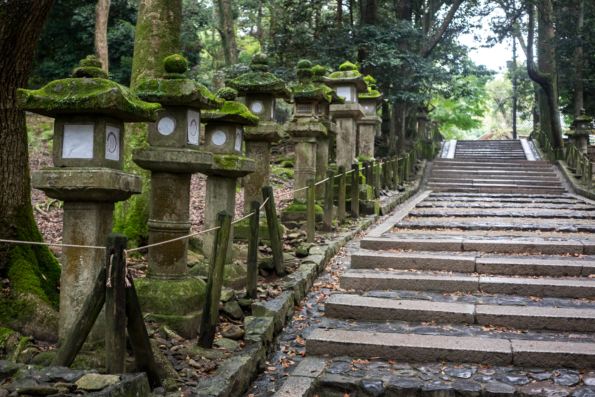 Fujifilm X-E2 + Fujifilm XF 27mm F2.8 sample photo. Steps in nara photography