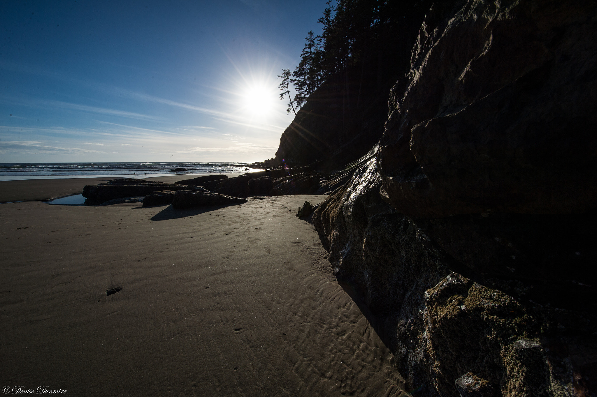 Nikon Df sample photo. Afternoon delight photography