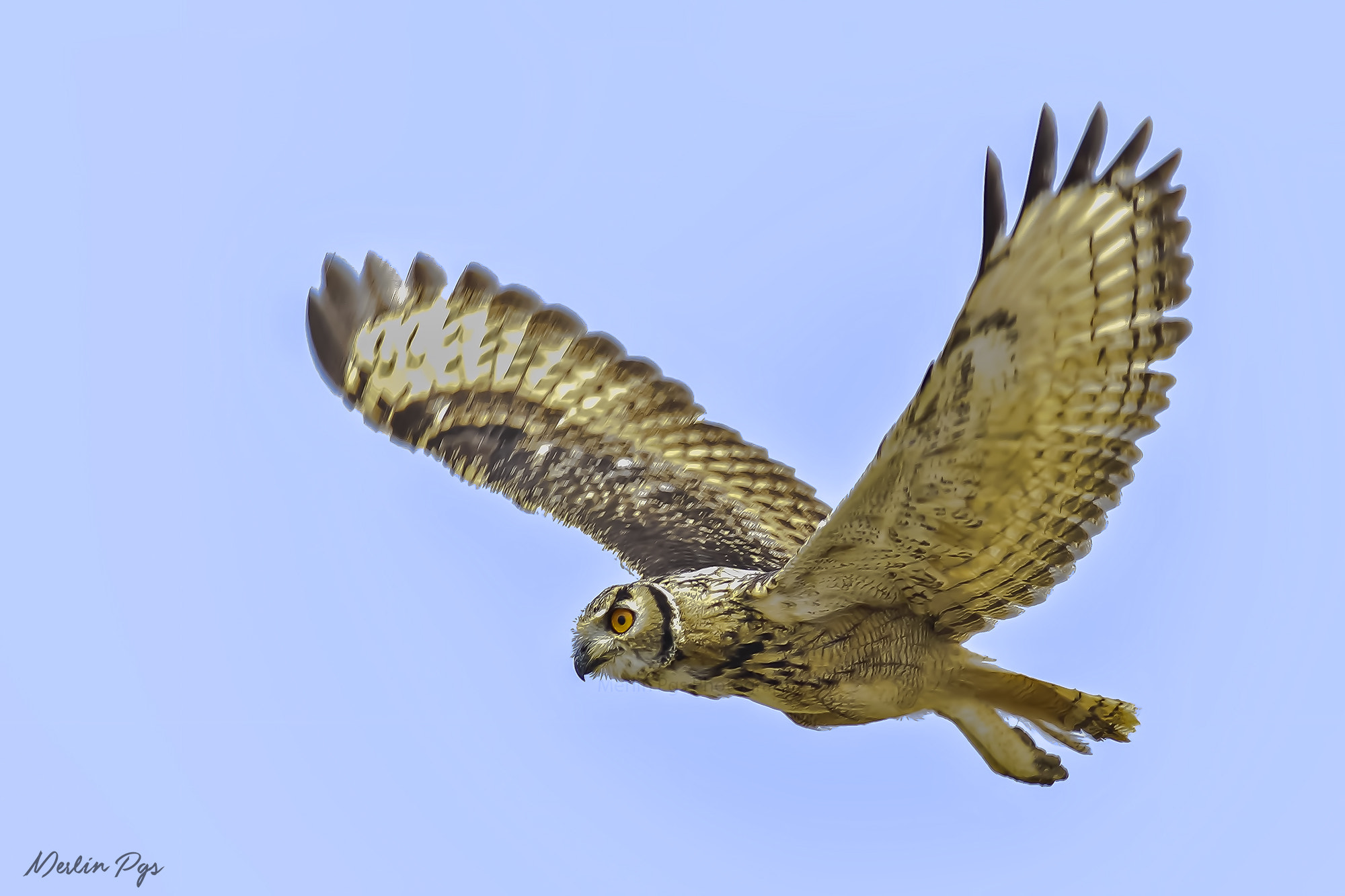 Canon EOS 7D sample photo. In flight photography