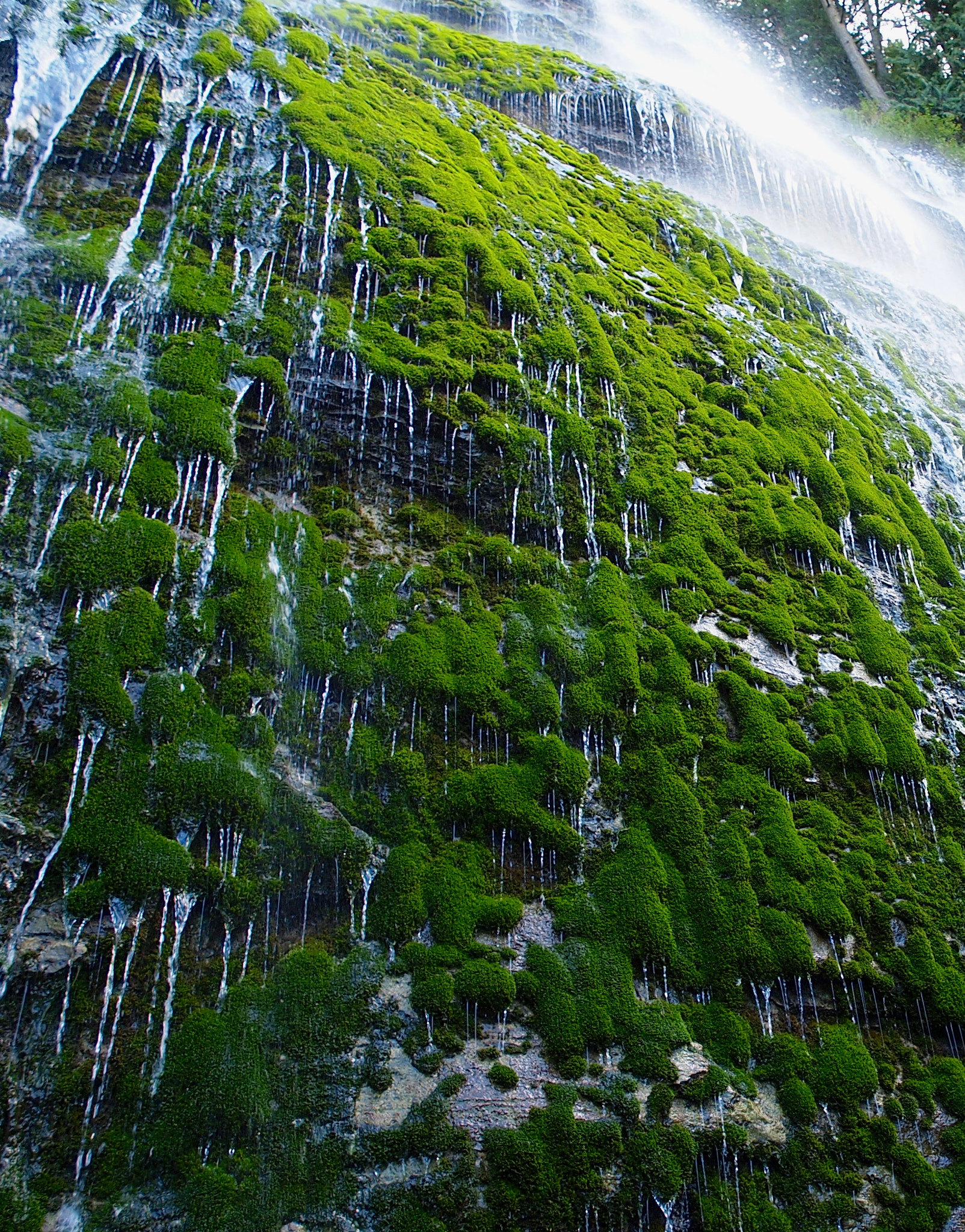 Olympus Zuiko Digital ED 12-60mm F2.8-4.0 SWD sample photo. Bridal falls photography