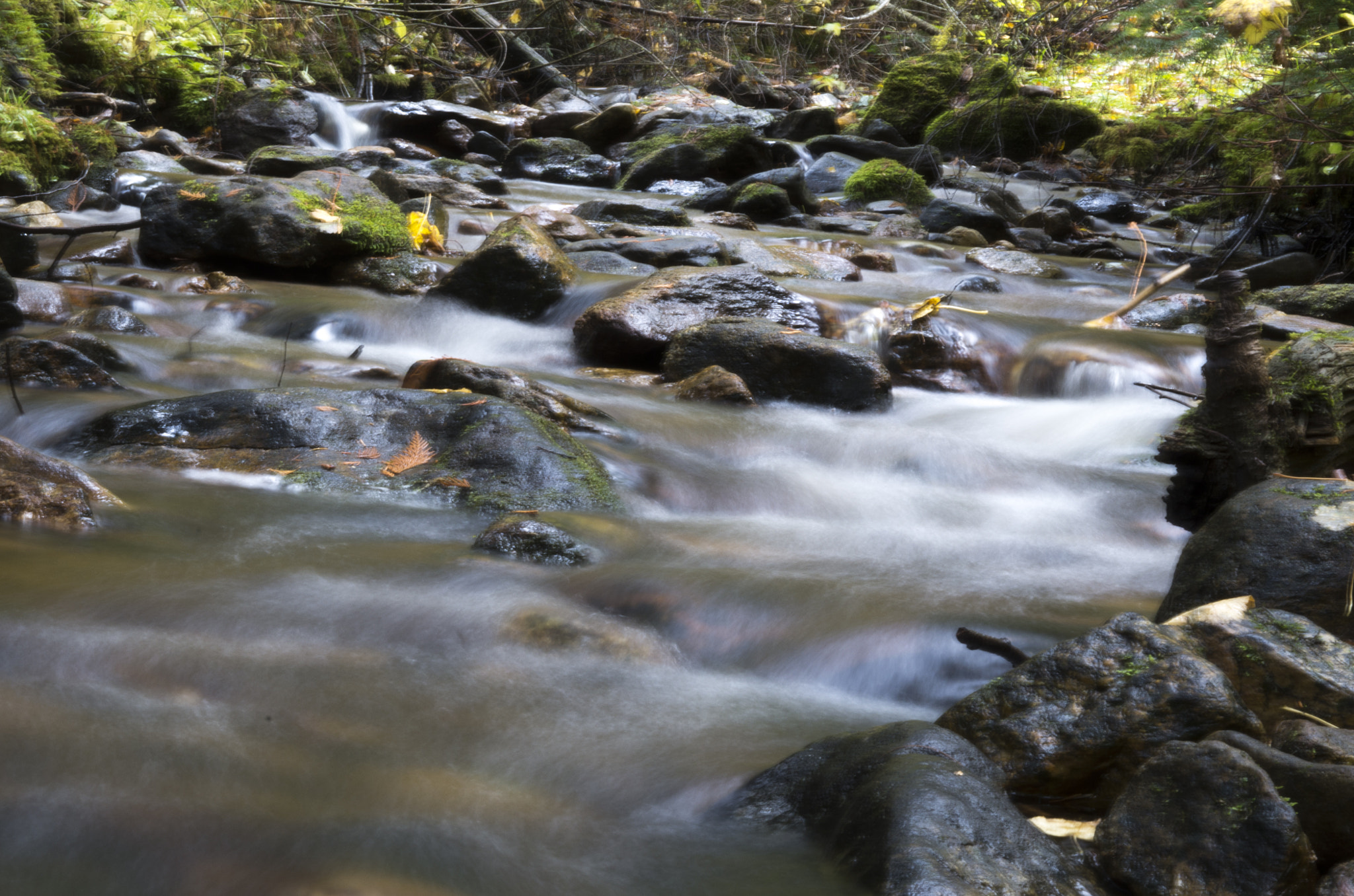 Pentax K-50 + Pentax smc DA 50mm F1.8 sample photo. Creek photography
