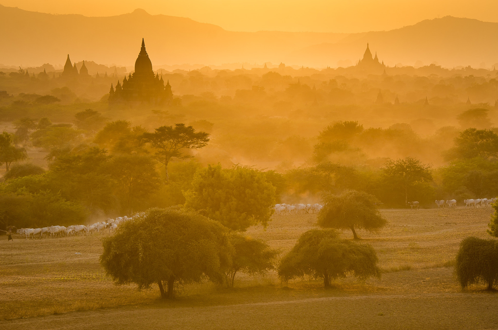 Sigma 70-200mm F2.8 EX DG OS HSM sample photo. Bagan @ myanmar photography