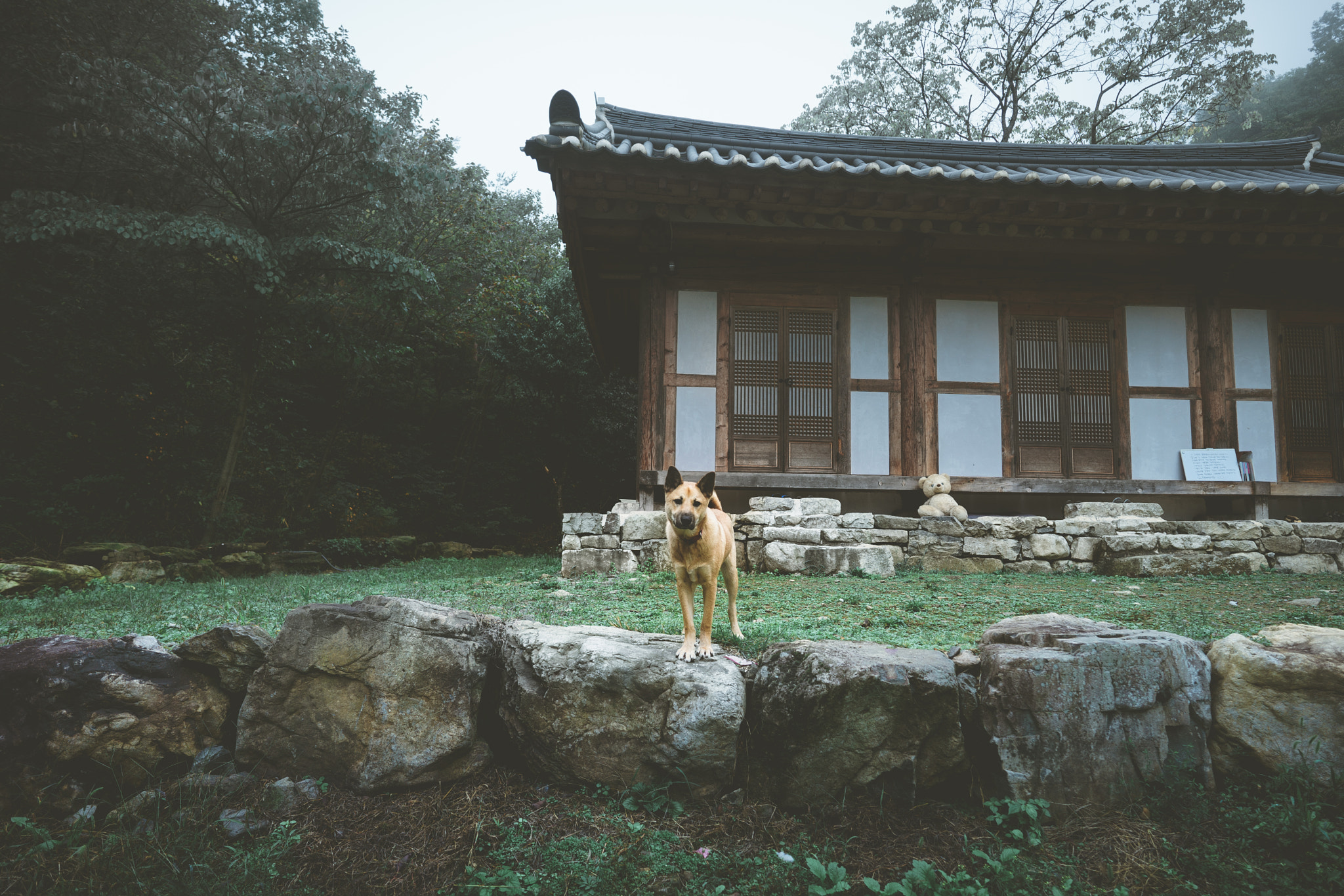 Sony a7 + ZEISS Batis 18mm F2.8 sample photo. Temple guardian photography