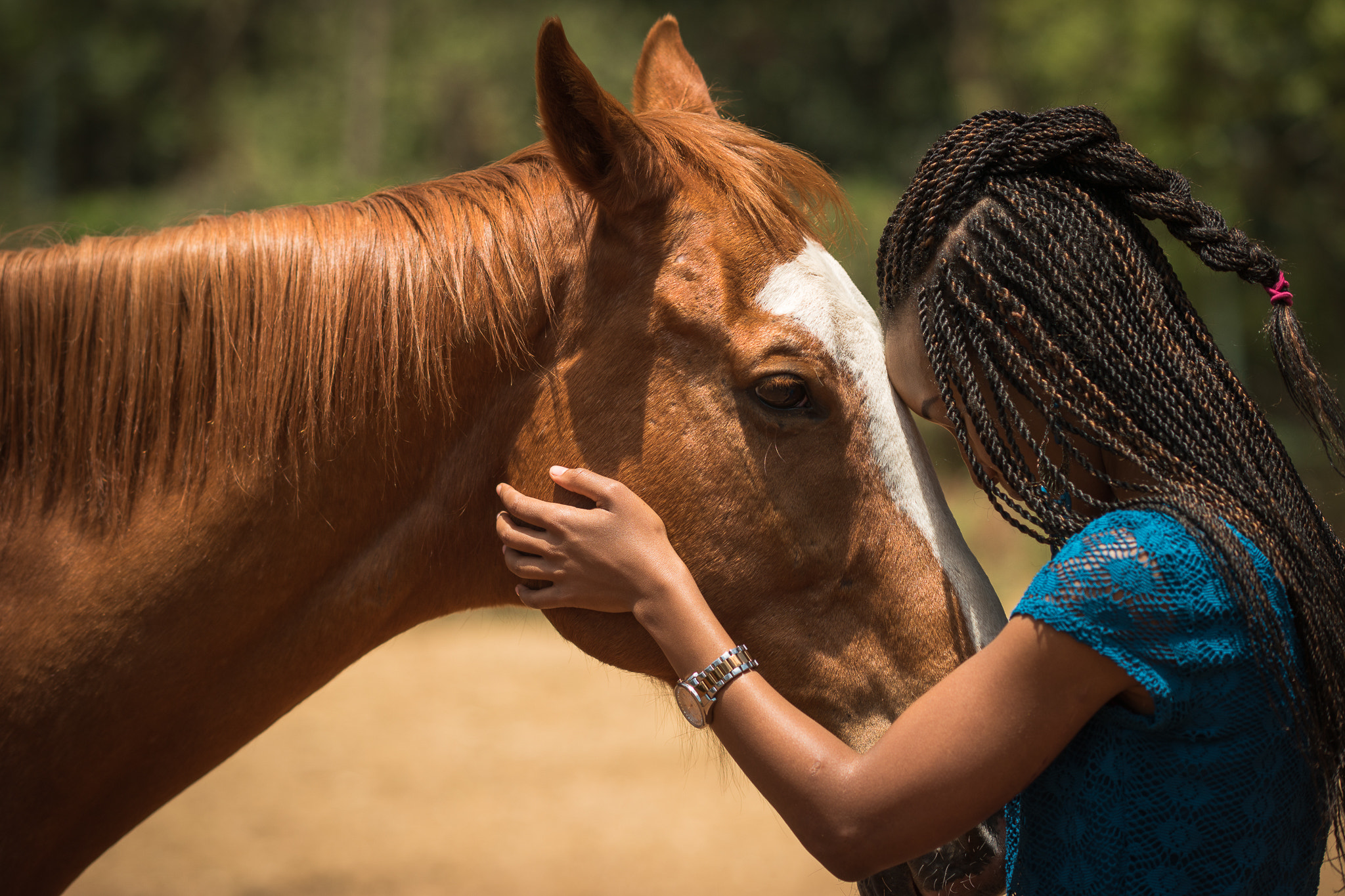 Samsung NX1 + Samsung NX 85mm F1.4 ED SSA sample photo. One with the horse photography