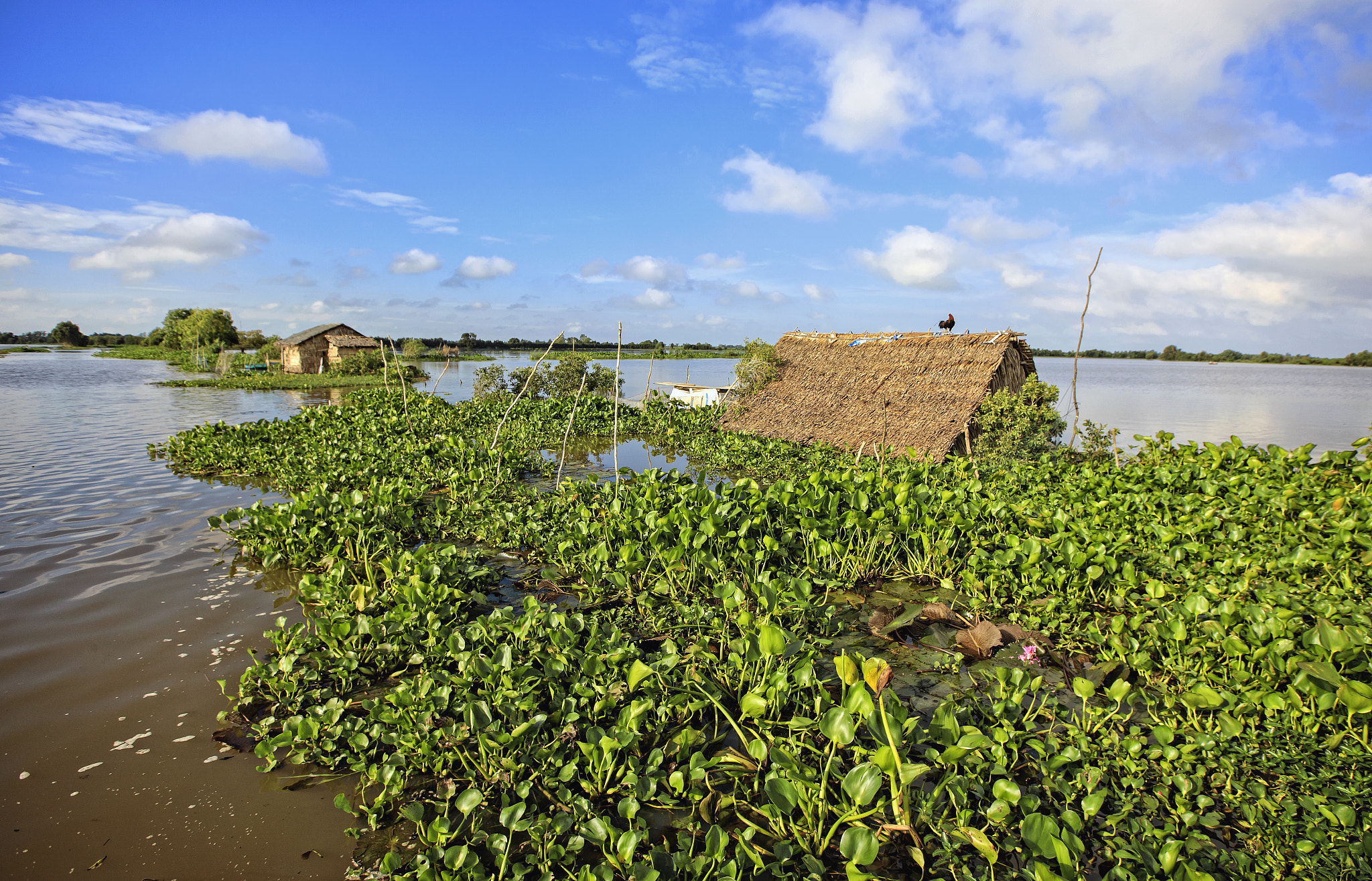 Canon EOS-1Ds Mark III sample photo. Flooding in mekong river delta photography