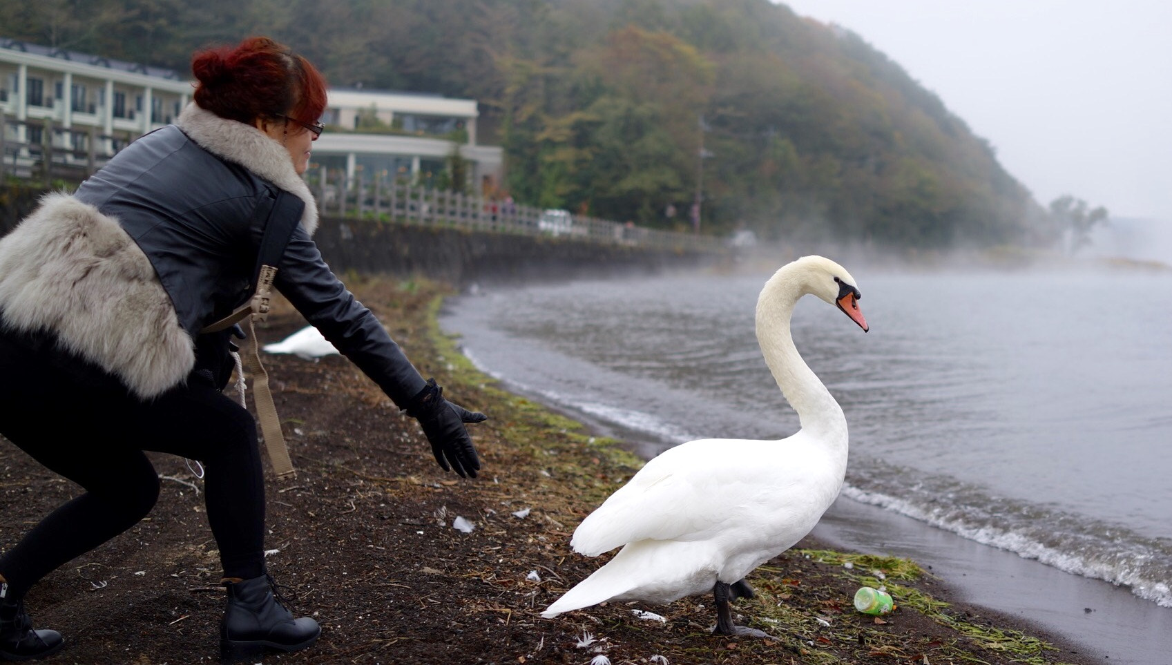 Sony Cyber-shot DSC-RX1 sample photo. My mother and swan photography