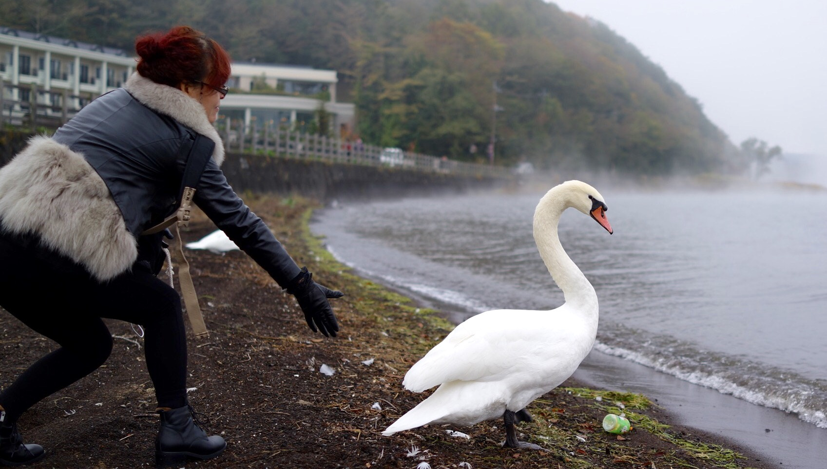 Sony Cyber-shot DSC-RX1 + Sony 35mm F2.0 sample photo. My mother and swan photography