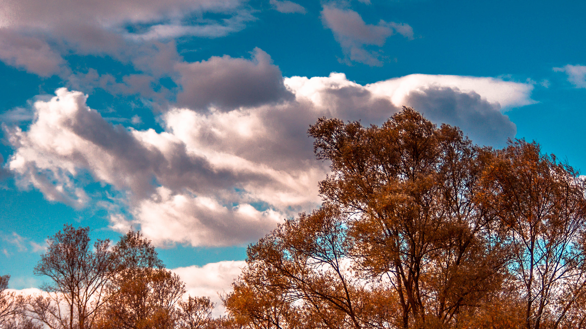 Pentax K-x sample photo. Autumn photography