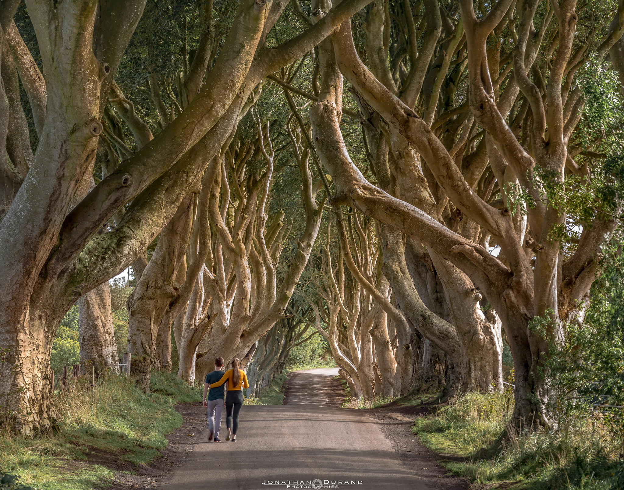 AF Nikkor 180mm f/2.8 IF-ED sample photo. Dark hedges road, ireland photography