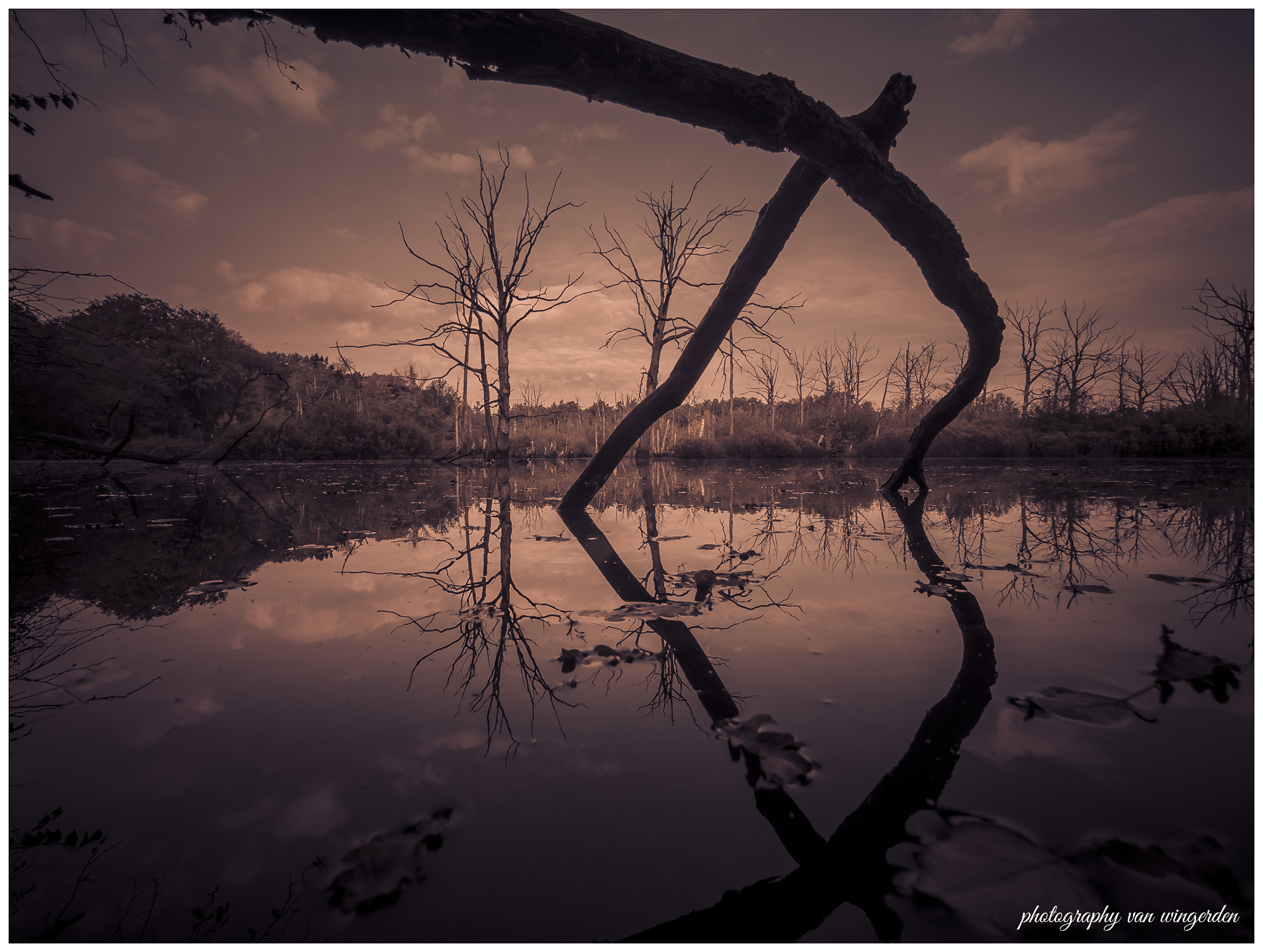 Olympus OM-D E-M10 II + Panasonic Lumix G Vario 7-14mm F4 ASPH sample photo. Sunset photography