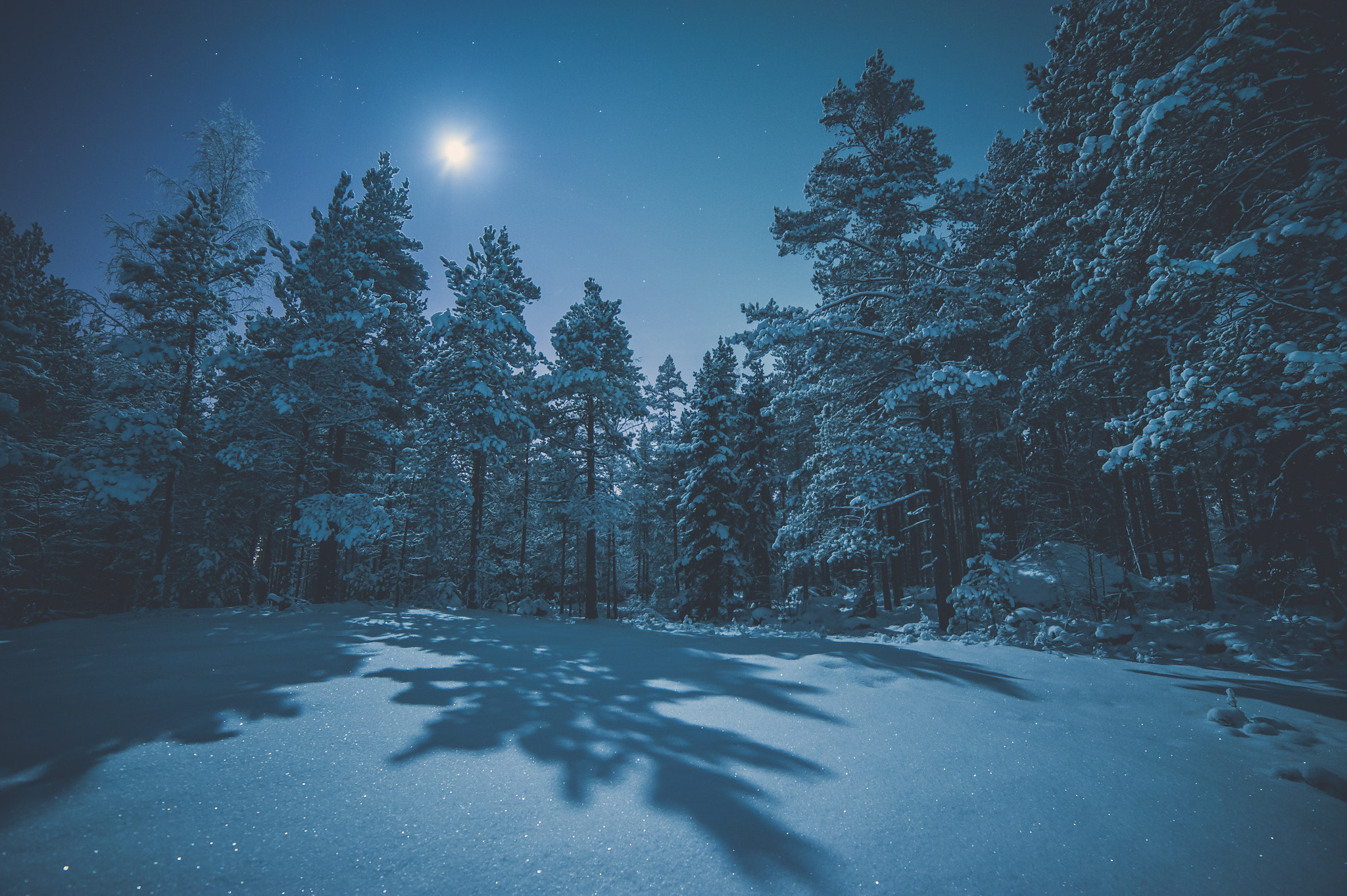 Nikon D3 sample photo. Moonlight photography