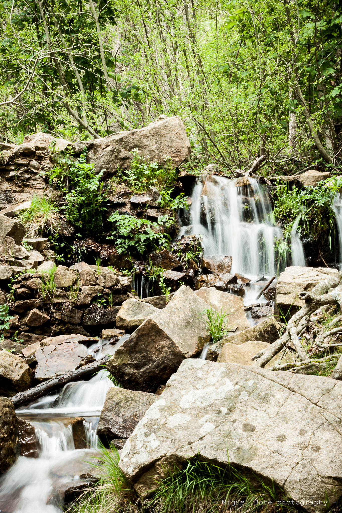 Canon EOS 500D (EOS Rebel T1i / EOS Kiss X3) sample photo. - cascadeando en primavera 2.0 - ... photography