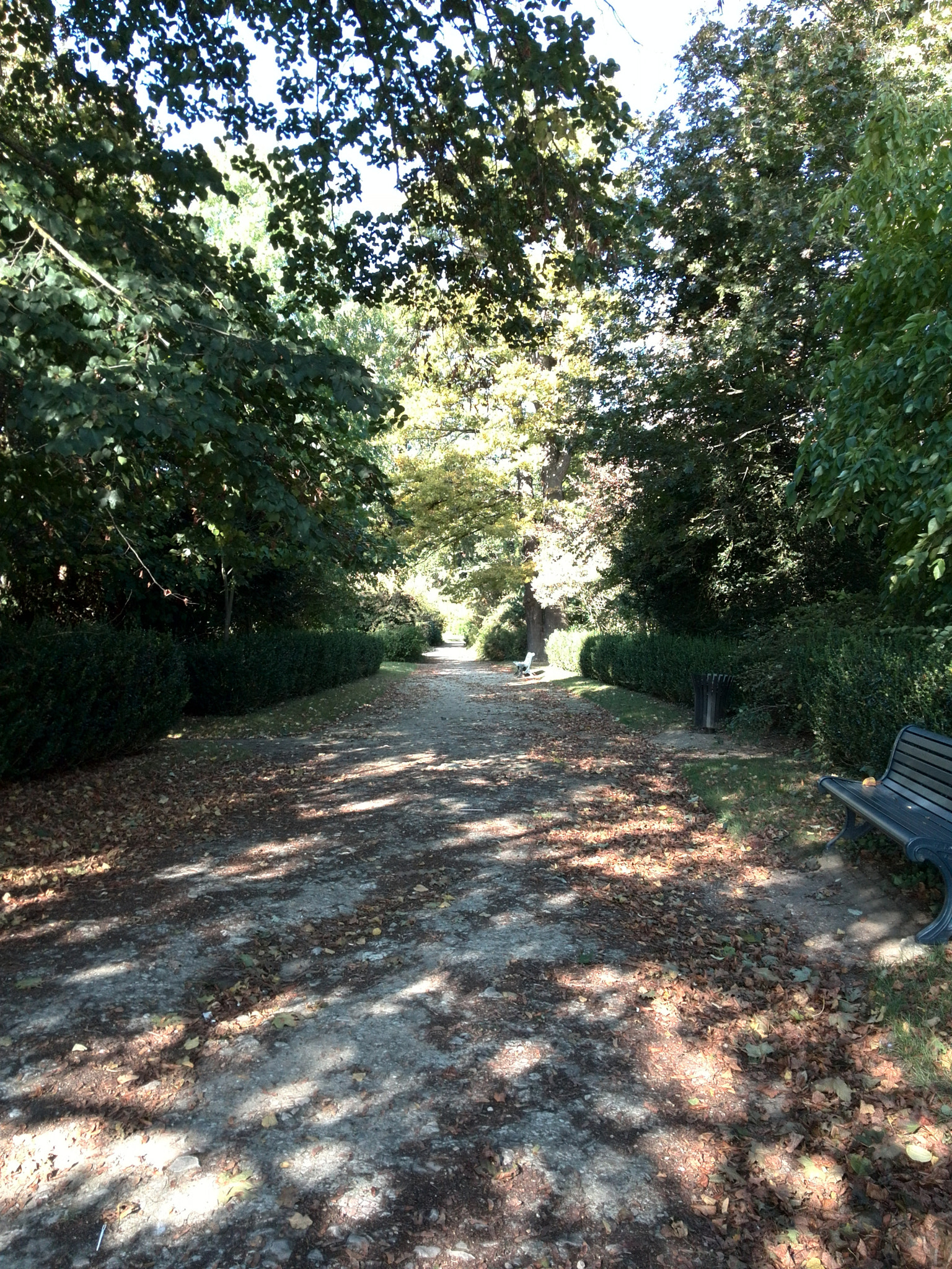 HUAWEI P6-U06 sample photo