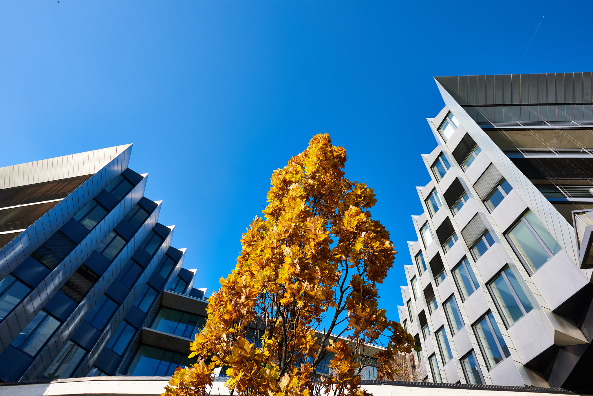 Nikon D810 + Nikon AF-S Nikkor 20mm F1.8G ED sample photo. Frankfurt westhafen photography